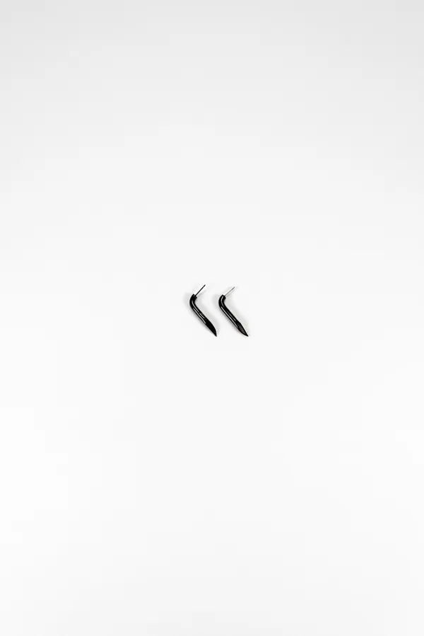 6014b Earrings