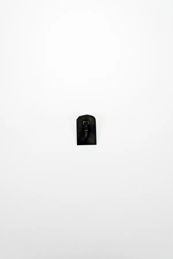 6016a PIn